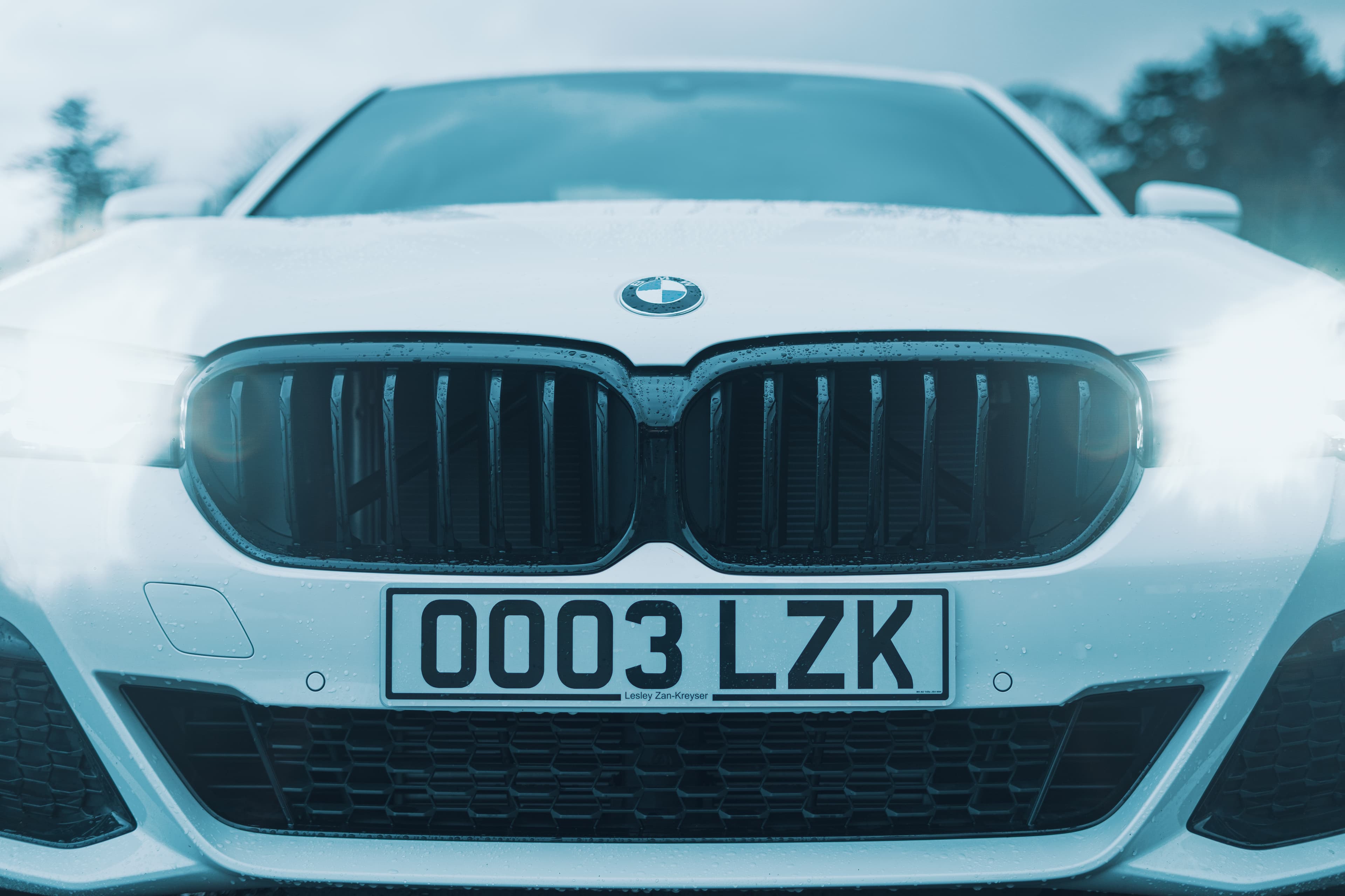 BMW grille detail